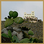 Bodega at Mount Corona